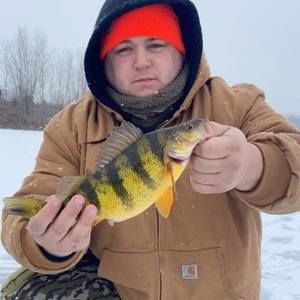 Meet your Posher, Hunter